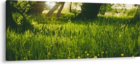Tájkép - rét (120x50 cm)