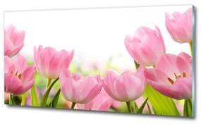 Egyedi üvegkép Rózsaszín tulipánok osh-76412458