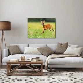 Kép - Őz (70x50 cm)