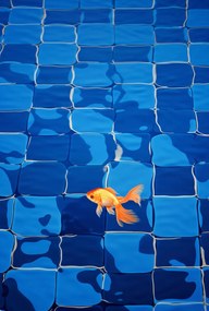 Poszter 68x101cm Arany Magány Halbőrben