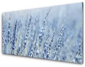 Üvegkép Virág Meadow Nature Ears 100x50 cm 2 fogas