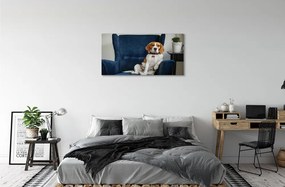 Canvas képek ül kutya 120x60 cm