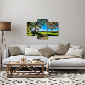 Kép - mező, kilátás (90x60 cm)