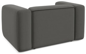 Szürke bársony fotel Ekahi – Makamii