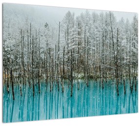 Kép - Türkiz tó, Biei, Japán (üvegen) (70x50 cm)