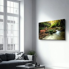 Üvegkép, 70×110 cm – CAM-3019