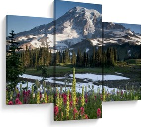Kép - Mount Rainier (90x60 cm)