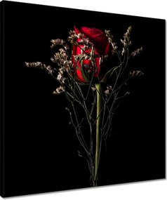 Vászonkép 50x50 Rózsa Virág Virágok Rózsa
