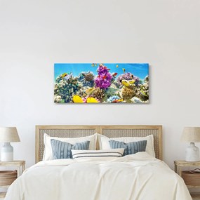 Kép - A tenger világa (120x50 cm)