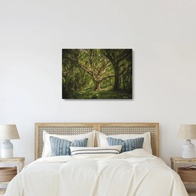 Fa képe (70x50 cm)