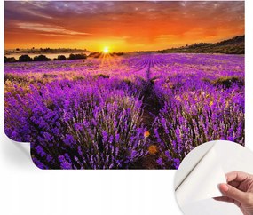 Modern öntapadós fali fotótapéta Levendula nyugat 312x219 cm