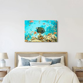 A víz alatti világ képe (90x60 cm)
