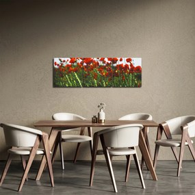 A pipacsok képe a szélben (órával) (90x30 cm)