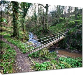 Vászonkép 50x40 Híd a parkban