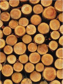 Fotótapéta Fa szeletek vinil 184x254 Rusztikus stílus Beltéri +ragasztó