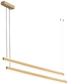 Argon 8839 - LED Csillár zsinóron MIAMI LED/74W/230V 3000K arany