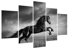 Fekete fehér lovas kép (150x105 cm)