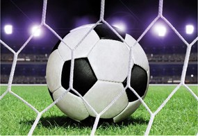 Fotótapéta Futball Szenvedély Energia Mérkőzés Gól Arena Stadion 250x175 +ragasztó