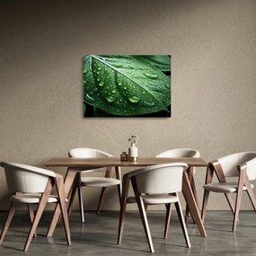 Üveg kép - Részlet levél eső után (70x50 cm)