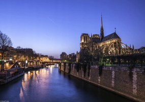 Poszter 29,7x21cm Notre-Dame de Paris éjszaka 2, Assaf Frank