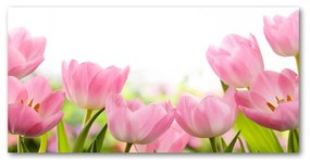Akrilkép Rózsaszín tulipánok oah-76412458
