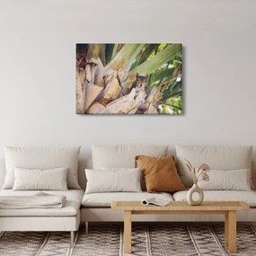 Mókus képe a fán (90x60 cm)