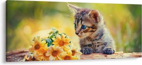 Macska képe ahogy a virágot nézi (120x50 cm)