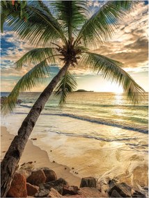 Fotótapéta Tengerpart Pálma Naplemente Óceán Egzotikus Paradicsom 206x275 +ragasztó