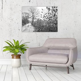 Üveg kép - Mezők télen (70x50 cm)