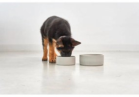 Porcelán tálka kutyáknak ø 20 cm Scodella Greige M/L – MiaCara