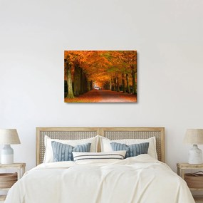 Kép - A Avenue of fák ősszel (70x50 cm)