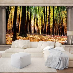 Fotótapéta - Őszi erdő (152,5x104 cm)