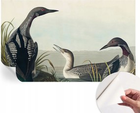 Öntapadós tapéta Divatos 3D fali ragasztó Madarak a vízparton 416x254 cm