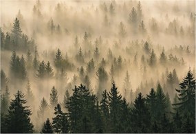 Flizelin Dekoratív fotótapéta Hálószobába Erdei köd 152x104 Ragasztó