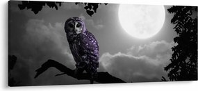 Kép - Éjjeli bagoly, lila bagoly (120x50 cm)