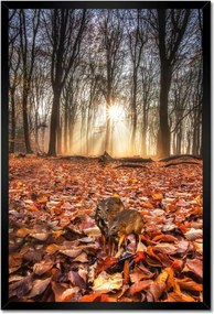 Poszterek keretben 40x60 Kihalás fenyegeti