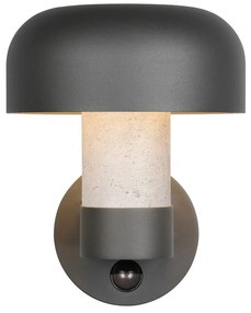 Fali kültéri lámpa (magasság 24,5 cm) Fraser – Trio