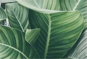 Fotótapéta Flizelin Dekoratív Hálószoba Zöld nyugalom 152x104