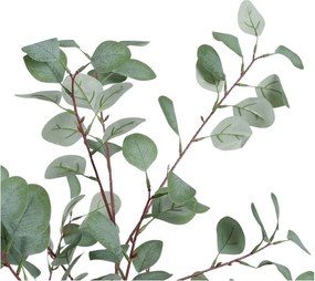 Eukaliptusz műnövény (magasság 180 cm) Eucalyptus – Ixia