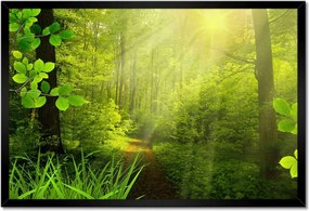 Poszterek keretben 60x40 Varázslatos erdő Tájkép