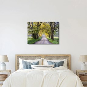 Kép - Smoky, hegység, Gatlinburg, USA (70x50 cm)