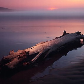 Poszter 20x20cm Várva a végére