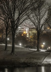 Poszter 42x59,4cm Central Park éjszaka, Assaf Frank