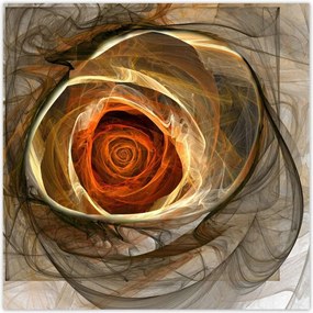 Poszterek 30x30 Absztrakt rózsa