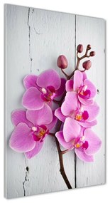 Akrilkép Rózsaszín orchidea oav-118409675