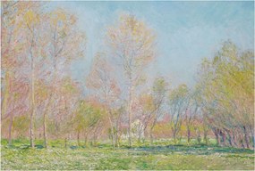 Flizelin fotótapéta Flizelin Design Tavaszi park 104x70 Ragasztó