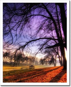 Poszterek keretben 40x50 Bajusz park