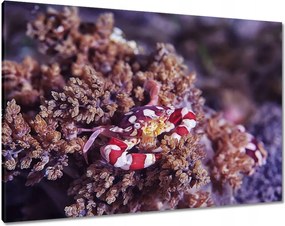 Vászonkép 100x70 Kék tengeri világ