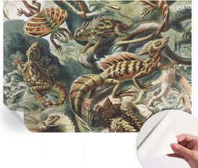 Öntapadós fali fotótapéta Hálószobába Egzotikus hüllők 208x146 cm