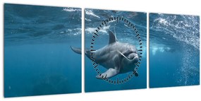 Kép - Delfin a felszín alatt (órával) (90x30 cm)